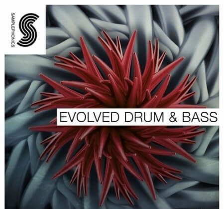 Samplephonics Evolved Drum and Bass MULTiFORMAT